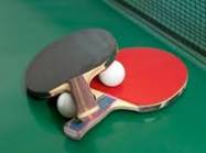 Billedresultat for bordtennis